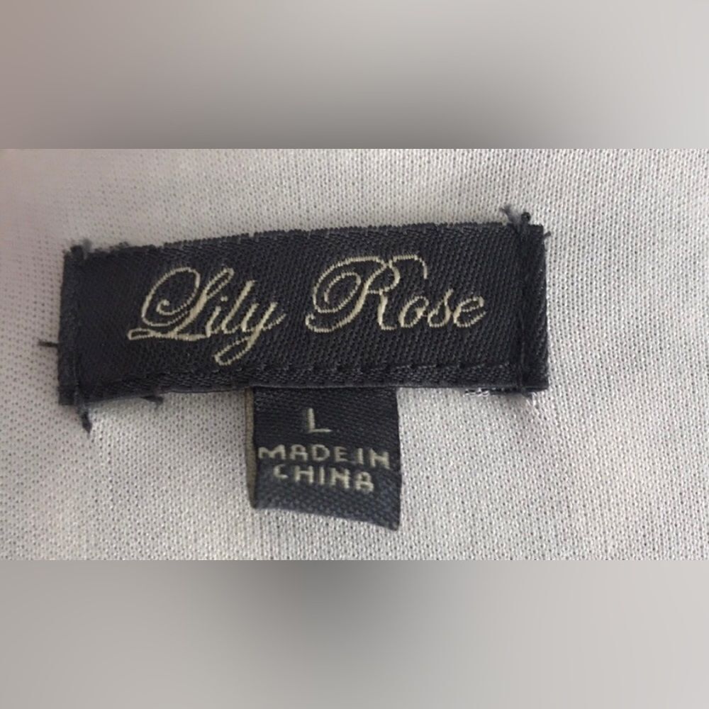 LILY ROSE “Size L” Skater Dress - Picture 4 of 6